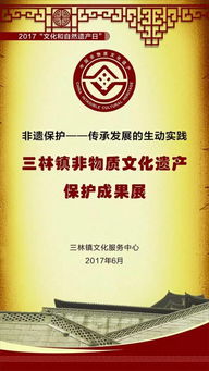 三林非遺保護 傳承與發(fā)展的生動實踐